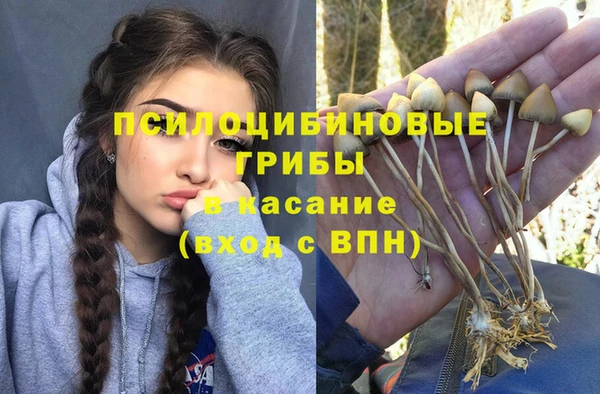 мескалин Инсар